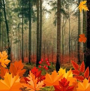 Meet your Posher, Roberta